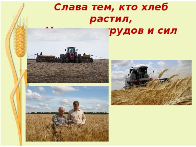 Слава тем, кто хлеб растил,  Не жалел трудов и сил 