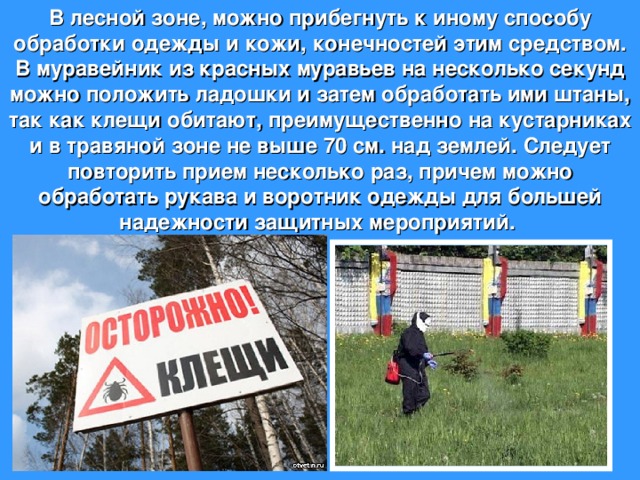 В лесной зоне, можно прибегнуть к иному способу обработки одежды и кожи, конечностей этим средством. В муравейник из красных муравьев на несколько секунд можно положить ладошки и затем обработать ими штаны, так как клещи обитают, преимущественно на кустарниках и в травяной зоне не выше 70 см. над землей. Следует повторить прием несколько раз, причем можно обработать рукава и воротник одежды для большей надежности защитных мероприятий.   