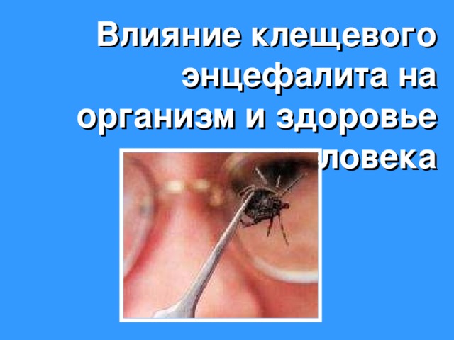 Влияние клещевого энцефалита на организм и здоровье человека 