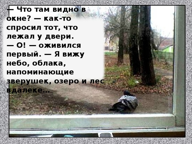 — Что там видно в окне? — как-то спросил тот, что лежал у двери. — О! — оживился первый. — Я вижу небо, облака, напоминающие зверушек, озеро и лес вдалеке… Изображение с сайта http://content.foto.mail.ru/  