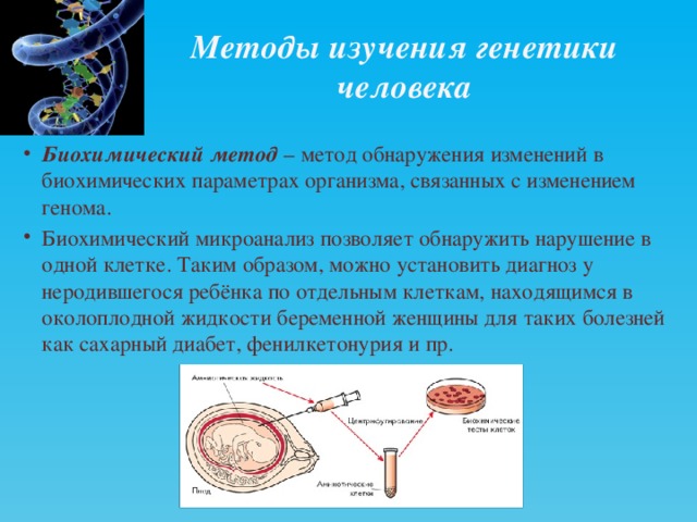 Методы изучения генетики человека Биохимический метод   – метод обнаружения изменений в биохимических параметрах организма, связанных с изменением генома. Биохимический микроанализ позволяет обнаружить нарушение в одной клетке. Таким образом, можно установить диагноз у неродившегося ребёнка по отдельным клеткам, находящимся в околоплодной жидкости беременной женщины для таких болезней как сахарный диабет, фенилкетонурия и пр. 