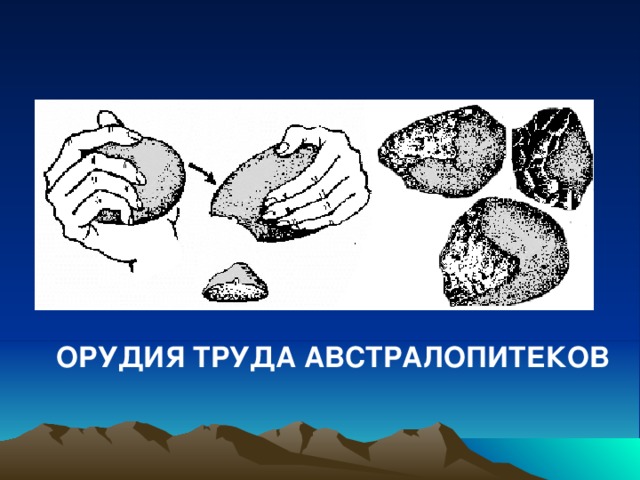 ОРУДИЯ ТРУДА АВСТРАЛОПИТЕКОВ 
