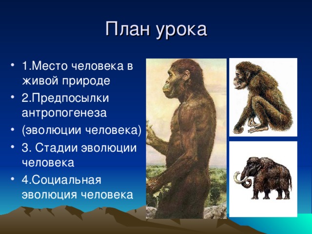 План урока . 1.Место человека в живой природе 2.Предпосылки антропогенеза (эволюции человека) 3. Стадии эволюции человека 4.Социальная эволюция человека 