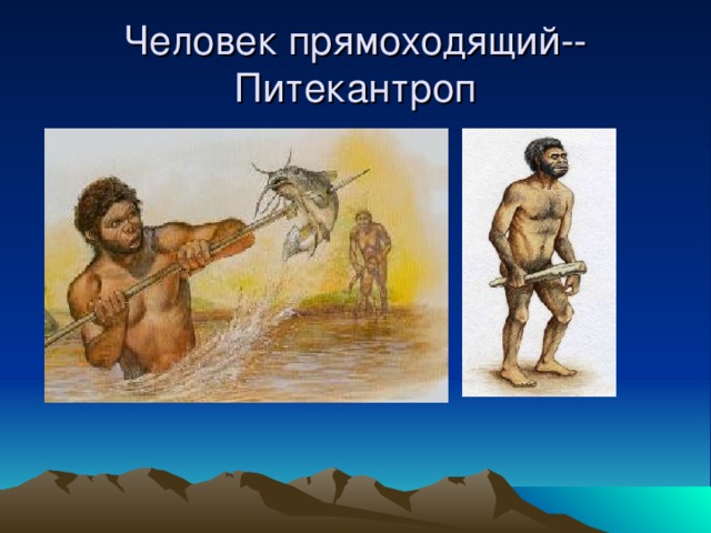 Человек прямоходящий--Питекантроп 