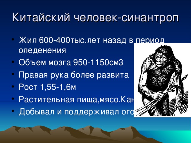 Китайский человек-синантроп Жил 600-400тыс.лет назад в период оледенения Объем мозга 950-1150см3 Правая рука более развита Рост 1,55-1,6м Растительная пища,мясо.Каннибалы Добывал и поддерживал огонь 
