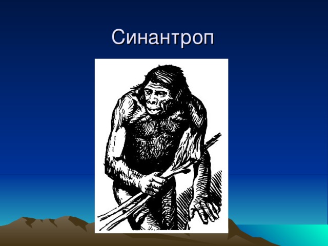 Синантроп 