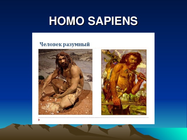 HOMO SAPIENS 