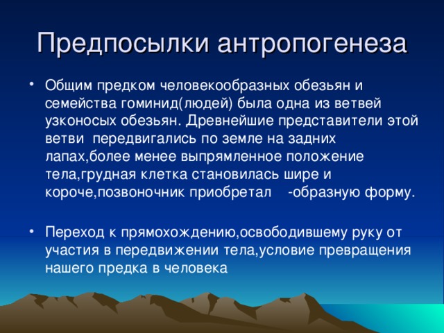 Предпосылки антропогенеза Общим предком человекообразных обезьян и семейства гоминид(людей) была одна из ветвей узконосых обезьян. Древнейшие представители этой ветви передвигались по земле на задних лапах,более менее выпрямленное положение тела,грудная клетка становилась шире и короче,позвоночник приобретал -образную форму. Переход к прямохождению,освободившему руку от участия в передвижении тела,условие превращения нашего предка в человека 