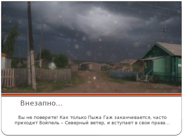 Внезапно… Вы не поверите! Как только Пыжа Гаж заканчивается, часто приходит Войпель – Северный ветер, и вступает в свои права… 