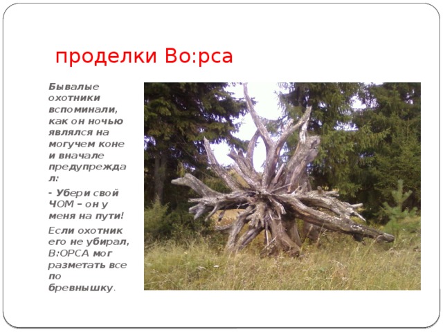  проделки Во:рса Бывалые охотники вспоминали, как он ночью являлся на могучем коне и вначале предупреждал: - Убери свой ЧОМ – он у меня на пути! Если охотник его не убирал, В:ОРСА мог разметать все по бревнышку . 