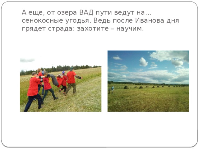 А еще, от озера ВАД пути ведут на…сенокосные угодья. Ведь после Иванова дня грядет страда: захотите – научим. 