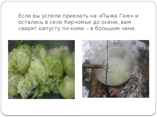     Если вы успели приехать на «Пыжа Гаж» и остались в село Керчомъя до осени, вам сварят капусту по-коми – в большом чане. 