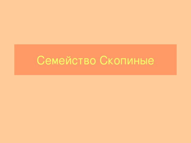 Семейство Скопиные 