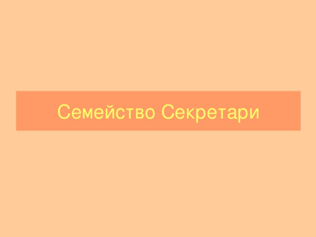 Семейство Секретари 