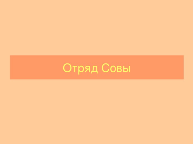 Отряд Совы 