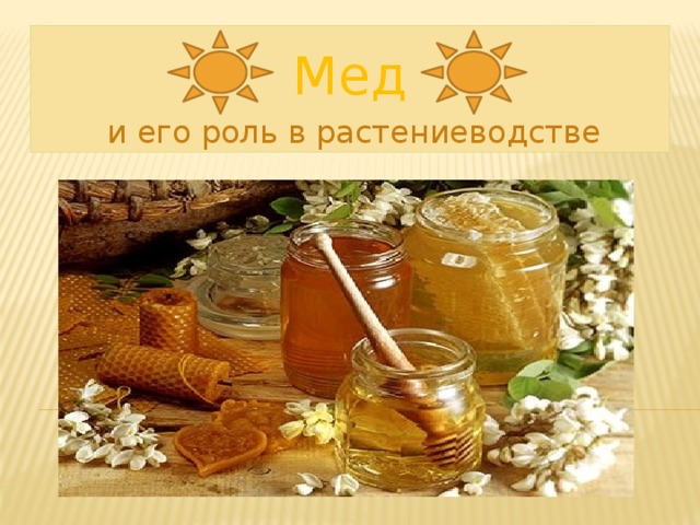 Мед  и его роль в растениеводстве 