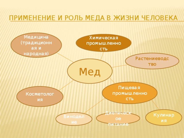 Применение и роль меда в жизни человека Медицина (традиционная и народная) Химическая промышленность Растениеводство Мед Пищевая промышленность Косметология Кулинария Виноделие Диетическое питание 