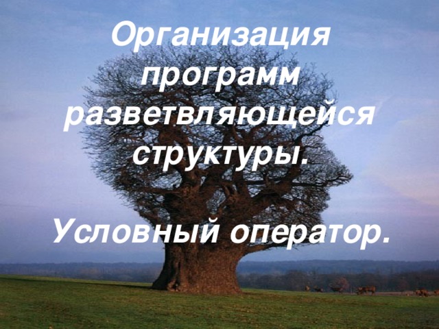 Организация программ разветвляющейся структуры.   Условный оператор. 