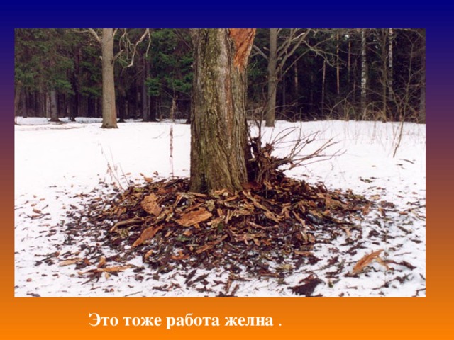 Это тоже работа желна . 