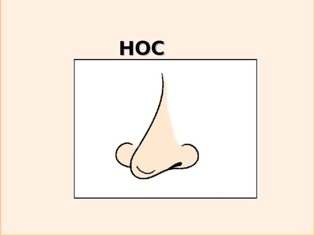 НОС 