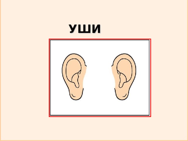УШИ 