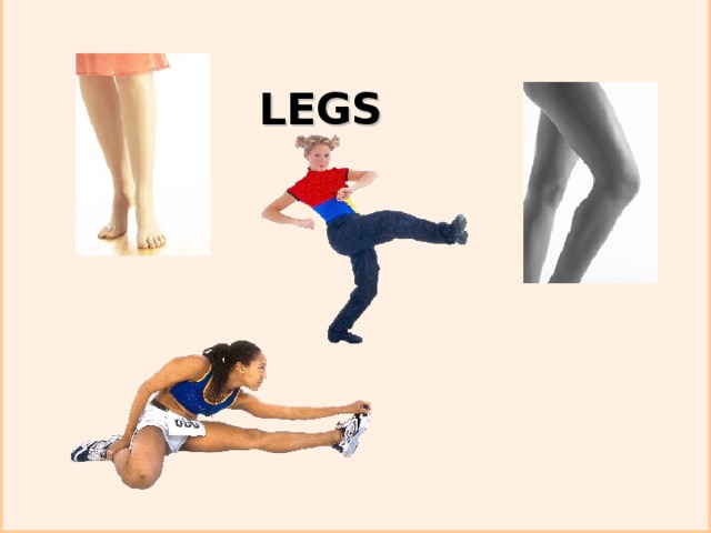 LEGS 