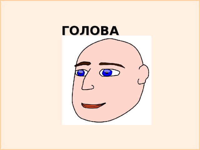 ГОЛОВА 