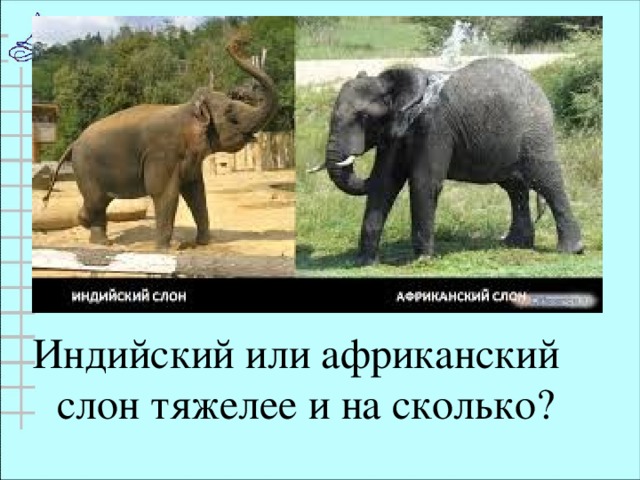 Индийский или африканский слон тяжелее и на сколько?