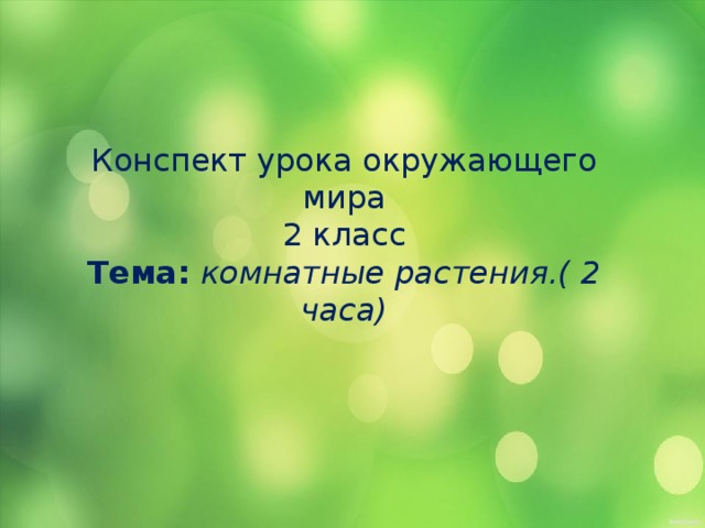 Конспект урока окружающего мира 2 класс Тема: комнатные растения.( 2 часа) 