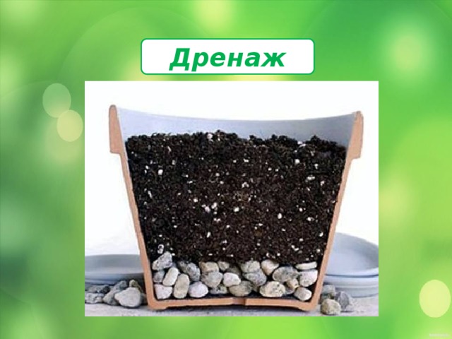 Дренаж 