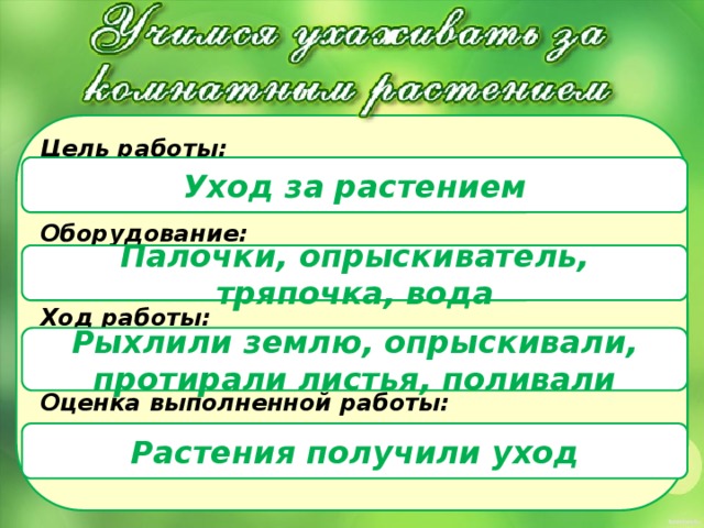  Цель работы:   Оборудование:   Ход работы:   Оценка выполненной работы:     Уход за растением Палочки, опрыскиватель, тряпочка, вода Рыхлили землю, опрыскивали, протирали листья, поливали Растения получили уход 