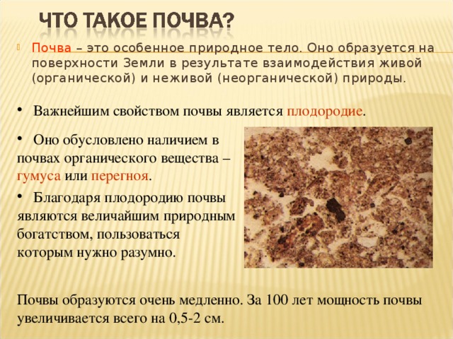 Почва – это особенное природное тело. Оно образуется на поверхности Земли в результате взаимодействия живой (органической) и неживой (неорганической) природы.   Важнейшим свойством почвы является плодородие .  Оно обусловлено наличием в почвах органического вещества – гумуса или перегноя .  Благодаря плодородию почвы являются величайшим природным богатством, пользоваться которым нужно разумно. Почвы образуются очень медленно. За 100 лет мощность почвы увеличивается всего на 0,5-2 см. 