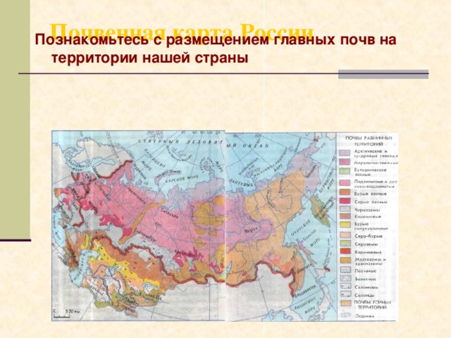 Почвенная карта России   Познакомьтесь с размещением главных почв на территории нашей страны 