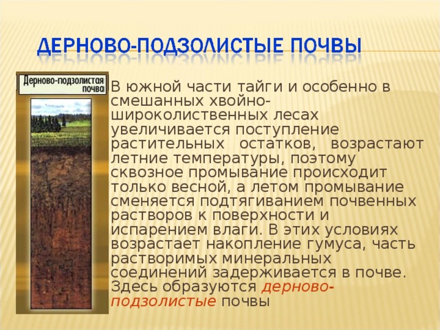 В южной части тайги и особенно в смешанных хвойно-широколиственных лесах увеличивается поступление растительных остатков, возрастают летние температуры, поэтому сквозное промывание происходит только весной, а летом промывание сменяется подтягиванием почвенных растворов к поверхности и испарением влаги. В этих условиях возрастает накопление гумуса, часть растворимых минеральных соединений задерживается в почве. Здесь образуются дерново-подзолистые почвы 