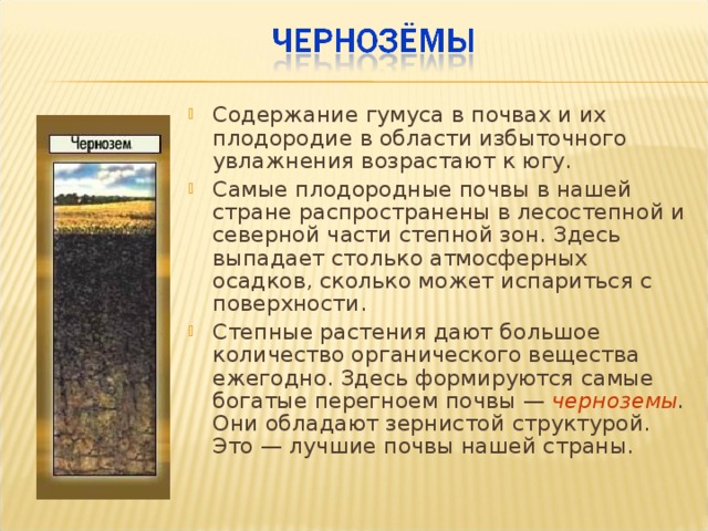 Содержание гумуса в почвах и их плодородие в области избыточного увлажнения возрастают к югу. Самые плодородные почвы в нашей стране распространены в лесостепной и северной части степной зон. Здесь выпадает столько атмосферных осадков, сколько может испариться с поверхности. Степные растения дают большое количество органического вещества ежегодно. Здесь формируются самые богатые перегноем почвы — черноземы . Они обладают зернистой структурой. Это — лучшие почвы нашей страны. 