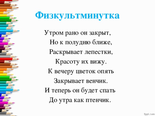 Физкультминутка Утром рано он закрыт,  Но к полудню ближе,  Раскрывает лепестки,  Красоту их вижу.  К вечеру цветок опять  Закрывает венчик.  И теперь он будет спать  До утра как птенчик. 