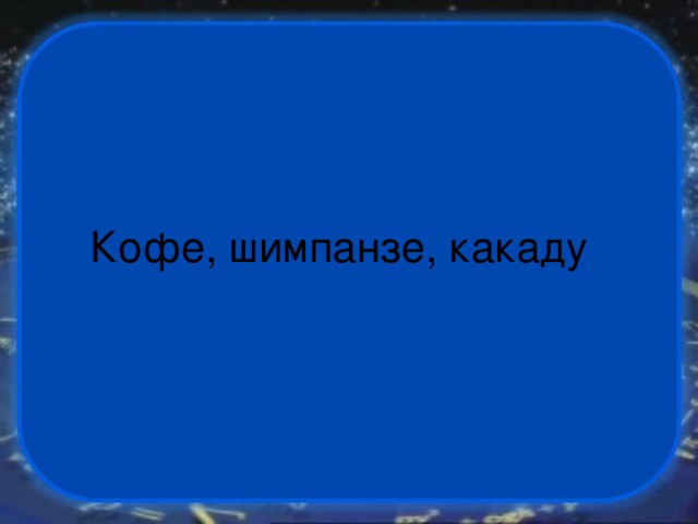 Кофе, шимпанзе, какаду 