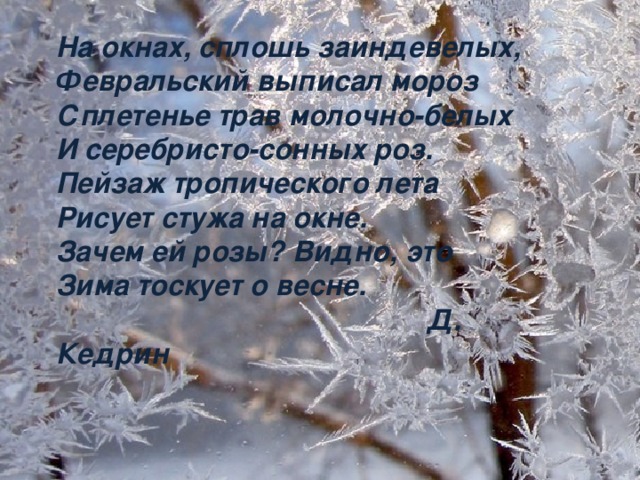 На окнах, сплошь заиндевелых, Февральский выписал мороз Сплетенье трав молочно-белых И серебристо-сонных роз. Пейзаж тропического лета Рисует стужа на окне. Зачем ей розы? Видно, это Зима тоскует о весне.  Д. Кедрин 