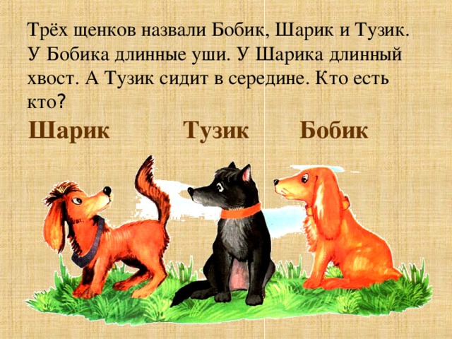 Трёх щенков назвали Бобик, Шарик и Тузик.  У Бобика длинные уши. У Шарика длинный хвост. А Тузик сидит в середине. Кто есть кто ?   Шарик   Тузик   Бобик 