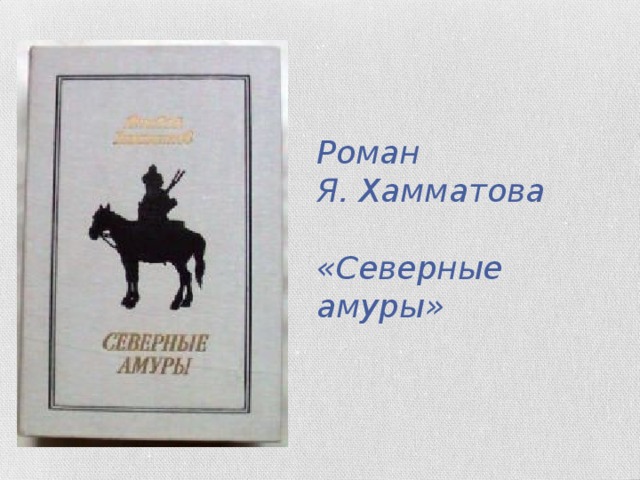 Роман  Я. Хамматова   «Северные амуры»