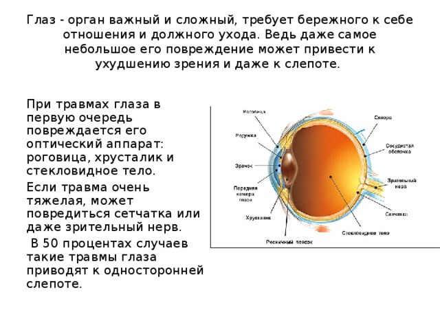 Глаз - орган важный и сложный, требует бережного к себе отношения и должного ухода. Ведь даже самое небольшое его повреждение может привести к ухудшению зрения и даже к слепоте. При травмах глаза в первую очередь повреждается его оптический аппарат: роговица, хрусталик и стекловидное тело. Если травма очень тяжелая, может повредиться сетчатка или даже зрительный нерв.  В 50 процентах случаев такие травмы глаза приводят к односторонней слепоте. 