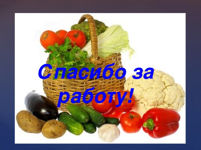 Спасибо за работу! 