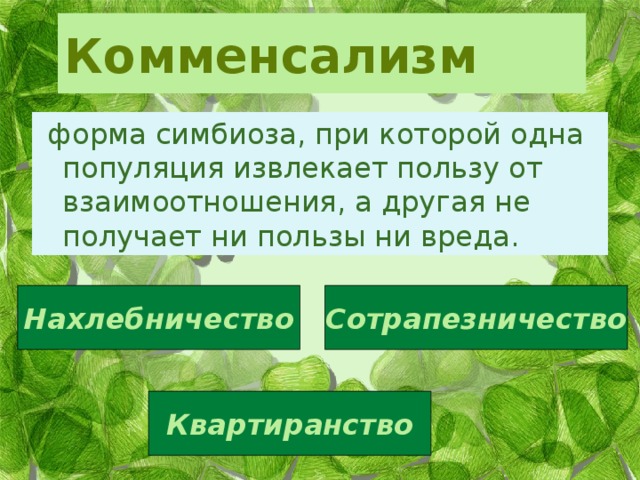 Комменсализм  форма симбиоза, при которой одна популяция извлекает пользу от взаимоотношения, а другая не получает ни пользы ни вреда.   Нахлебничество Сотрапезничество Квартиранство 