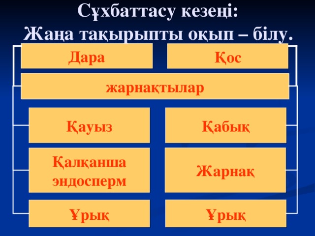  Сұхбаттасу кезеңі:  Жаңа тақырыпты оқып – білу. Дара Қос жарнақтылар Қабық Қауыз Жарнақ Қалқанша эндосперм Ұрық Ұрық 