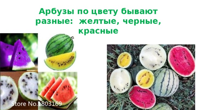 Арбузы по цвету бывают разные: желтые, черные, красные 