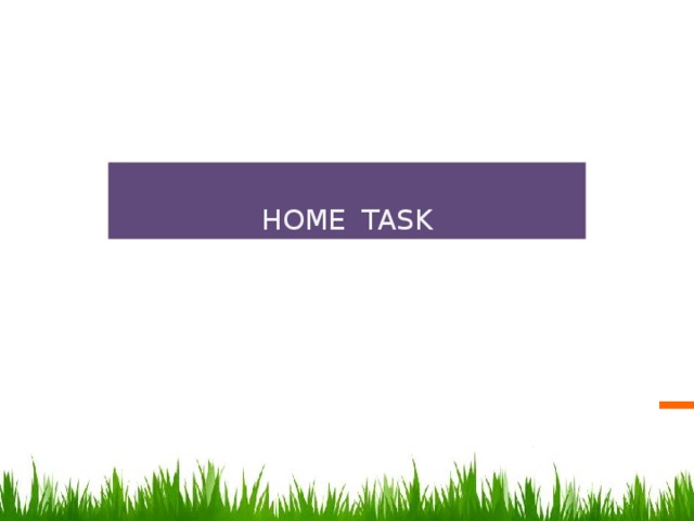 HOME TASK 11 