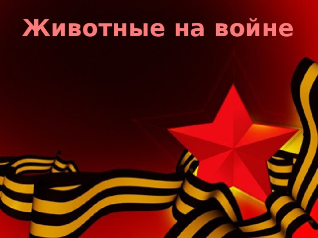 Животные на войне    