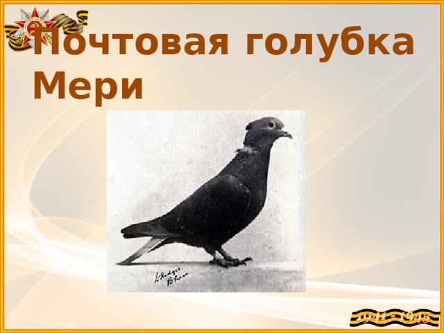 Почтовая голубка Мери 