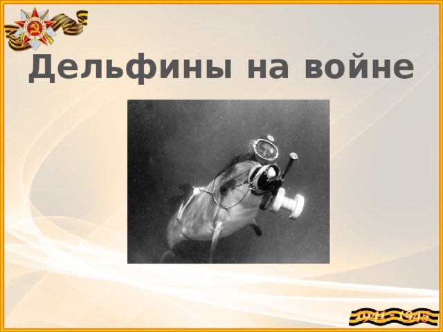 Дельфины на войне 