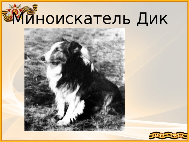 Миноискатель Дик 